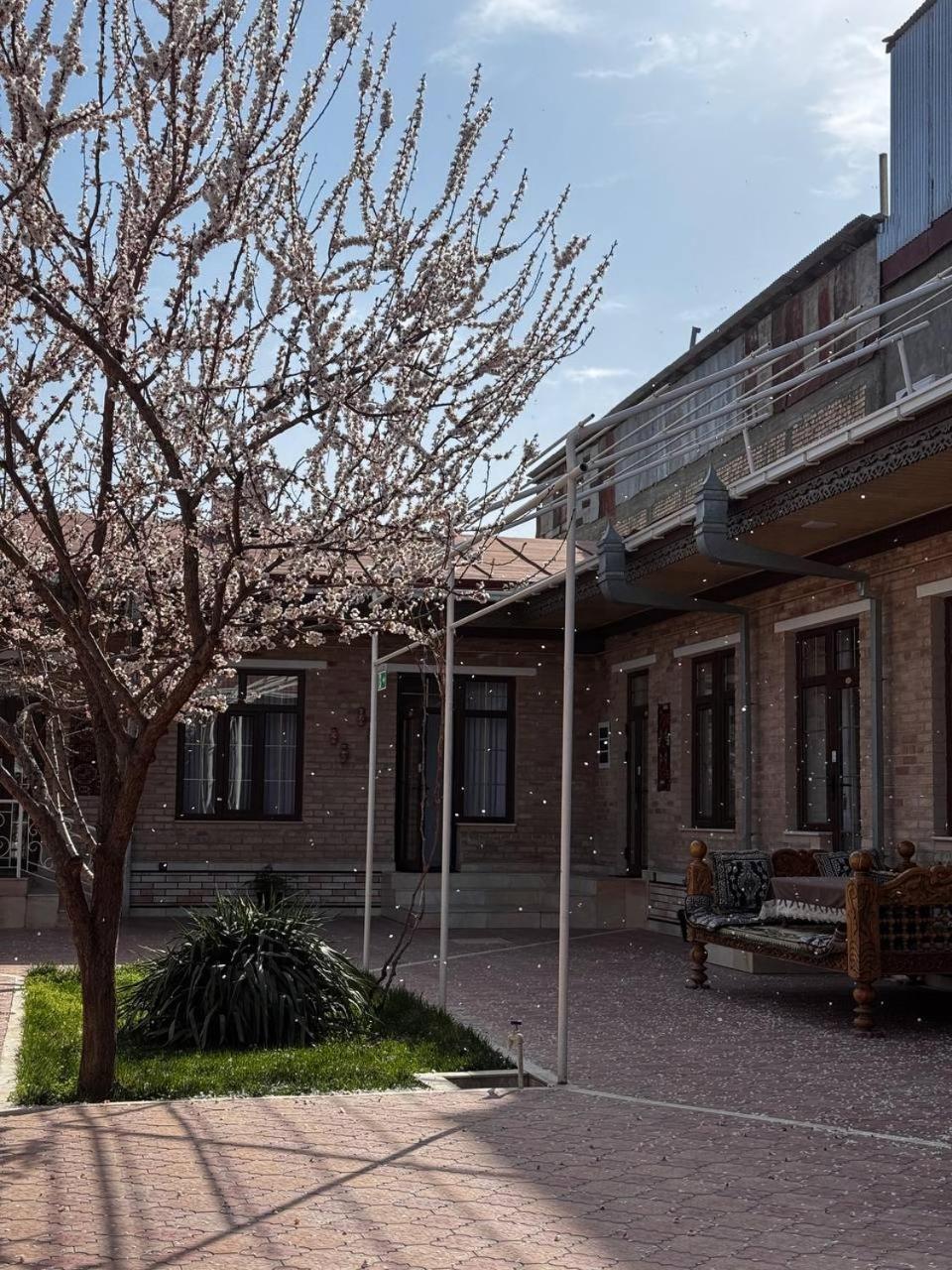 Salomat Guest House Samarkand Ngoại thất bức ảnh